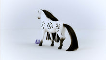 Load image into Gallery viewer, SL42622 Schleich Beauty Horse - Knabstrupper Stallion