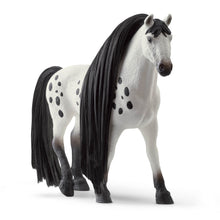 Load image into Gallery viewer, SL42622 Schleich Beauty Horse - Knabstrupper Stallion