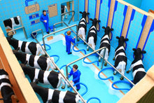 Load image into Gallery viewer, Bt2000 Herringbone Milking Parlour With Free Set Of Britains Fresian Cows Farm Buildings & Stables