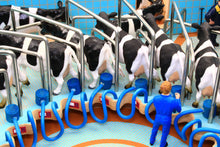 Load image into Gallery viewer, Bt2500 Rotary Milking Parlour With Free Britains Cow And Feeder Set Farm Buildings & Stables (1:32