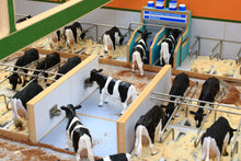 Load image into Gallery viewer, BT8960 Monster Cubicle Shed