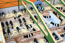 Load image into Gallery viewer, BT8960 Monster Cubicle Shed