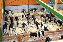 Load image into Gallery viewer, BT8960 Monster Cubicle Shed