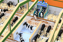 Load image into Gallery viewer, BT8960 Monster Cubicle Shed