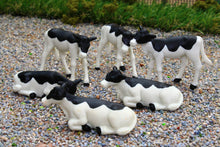 Load image into Gallery viewer, KG1974 KIDS GLOBE CALVES X 6