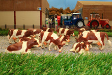 Load image into Gallery viewer, KG571968 KIds Globe Herd of 12 Brown and White Dairy Cows