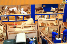 Load image into Gallery viewer, Bt8700 Cattle Handling Unit With Free Set Of Brushwood Store Cattle! Farm Buildings & Stables (1:32