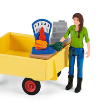 Load image into Gallery viewer, SL42528 Schleich Farmworld - Mobile Farm Shop