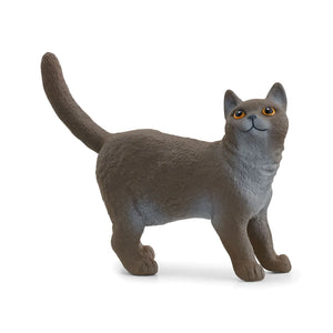 SL13973 Schleich British Shorthair Cat