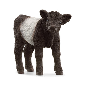 SL13969 Schleich Galloway Calf