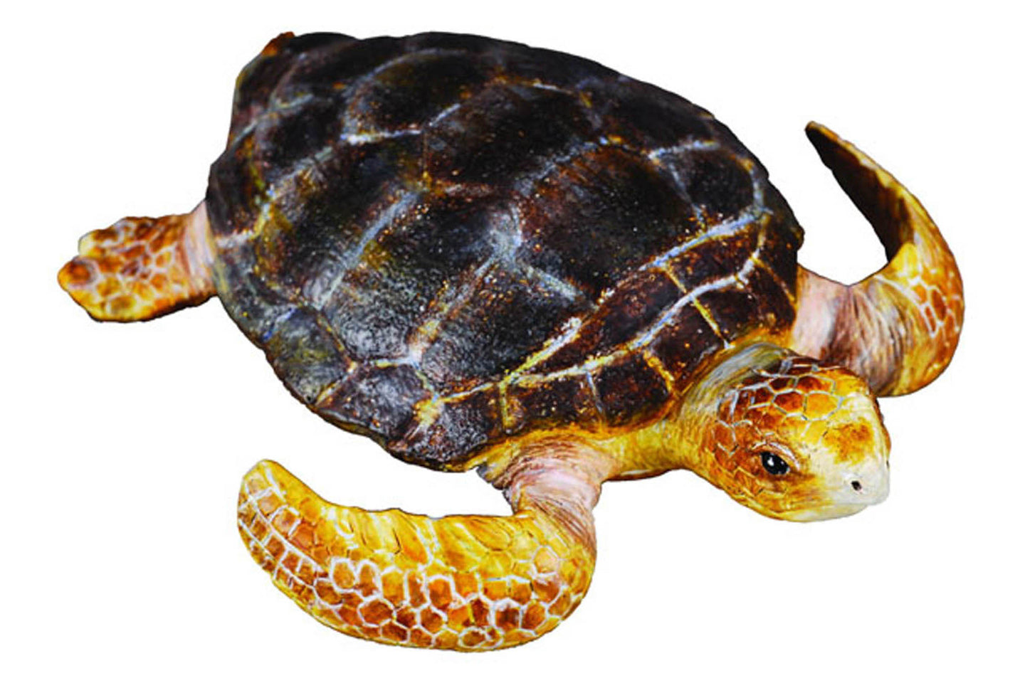 CTA9588094 CollectA Loggerhead Turtle – Brushwood Toys