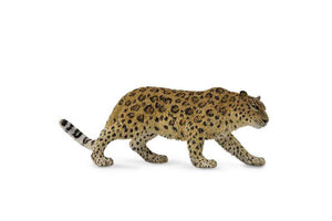 CTA9588708 CollectA Amur Leopard – Brushwood Toys