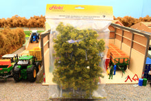 Load image into Gallery viewer, HEKI01322 HEKI Birch Trees X 10 (10-18cm)