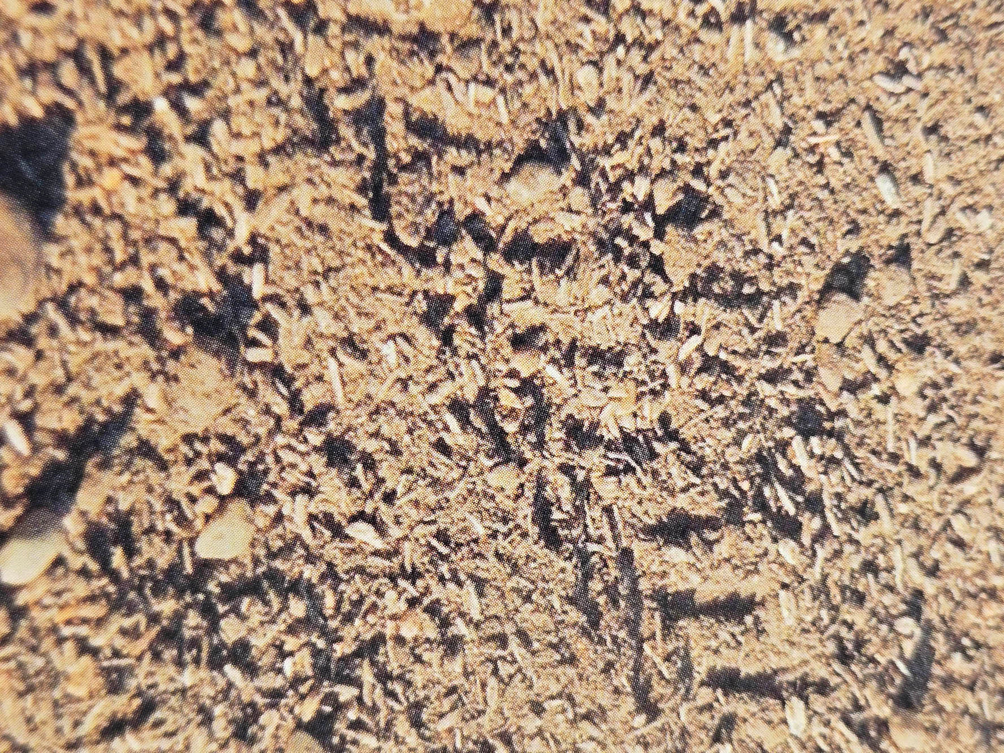 JL23469 Juweela 1:32/1:35 Scale Field Soil Mix (250gm)