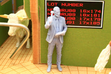 Load image into Gallery viewer, PYO816 Auctioner with Hammer