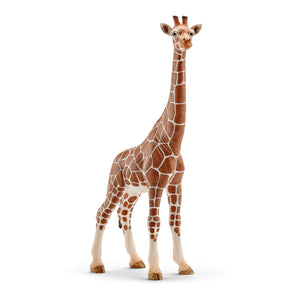 SL14750 Schleich Giraffe Female