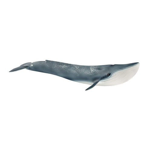 SL14806 Schleich Blue Whale