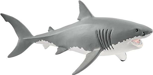 SL14809 Great White Shark Info