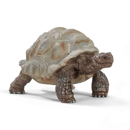SL14824 Schleich Giant Tortoise