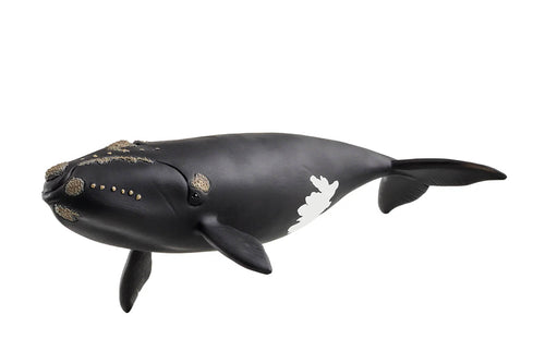 SL14878 Schleich North Atlantic Right Whale