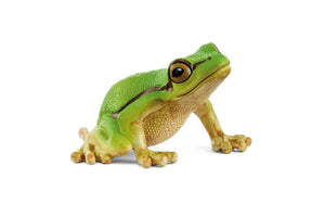 SL14882 Schleich European Tree Frog