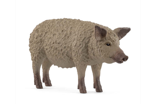 SL14892 Schleich Mangalica