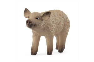 SL14893 Schleich Mangalica Piglet