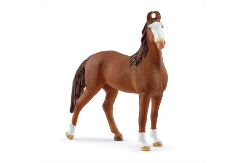 SL14897 Schleich Marwari Mare