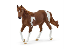 SL14901 Paint Horse Mare