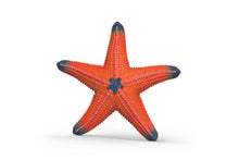 Load image into Gallery viewer, SL14902 Schleich Colour Change Starfish