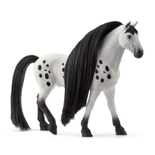Load image into Gallery viewer, SL42622 Schleich Beauty Horse - Knabstrupper Stallion