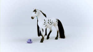 SL42622 Schleich Beauty Horse - Knabstrupper Stallion