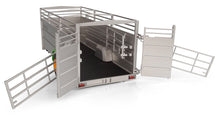 Load image into Gallery viewer, UH6619 Universal Hobbies Joskin Betimax RDS G 6000 Livestock Trailer