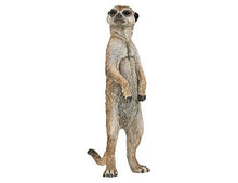 Load image into Gallery viewer, SL42595 Schleich Meerkat Hangout