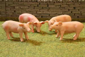 KG1905 KG PIGS (4)