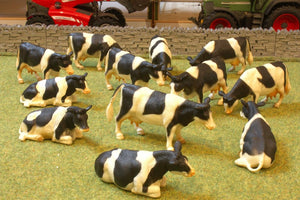 KG1929 HERD OF 12 FRIESIAN COWS