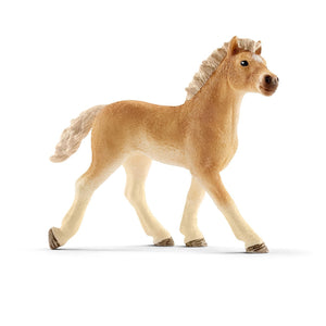 SL13814 Schleich Haflinger FOAL