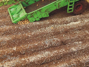 JL23385 Juweela Potato Field Sections 16 Pcs (total 60cm)