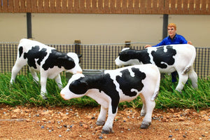 BT3068 3 X STORE CATTLE STANDING (WHITE WITH BLACK MARKINGS)