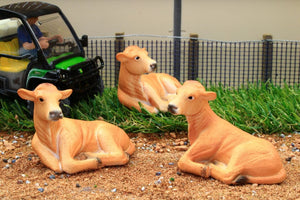 BT3070 LIGHT BROWN STORE CATTLE LYING DOWN X 3