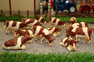 KG571968 KIds Globe Herd of 12 Brown and White Dairy Cows