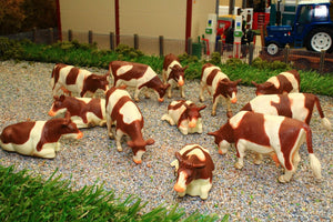 KG571968 KIds Globe Herd of 12 Brown and White Dairy Cows