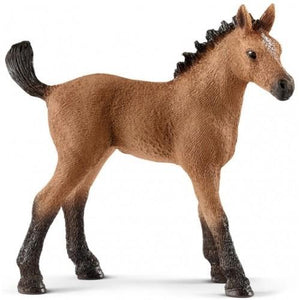 SL13854 Quarter Horse Foal