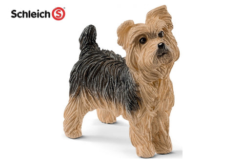 SL13876 Yorkshire Terrier