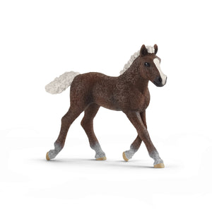 SL13899 Schleich Black Forest Foal