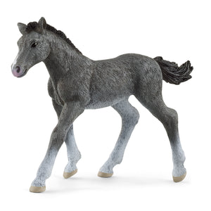 SL13944 Schleich Trakehner Foal