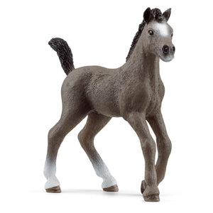 SL13957 Schleich Cheval de Selle Francais Foal