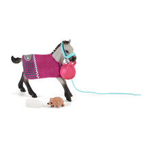 Load image into Gallery viewer, SL42534 Schleich Horse Club - Playful Foal Set