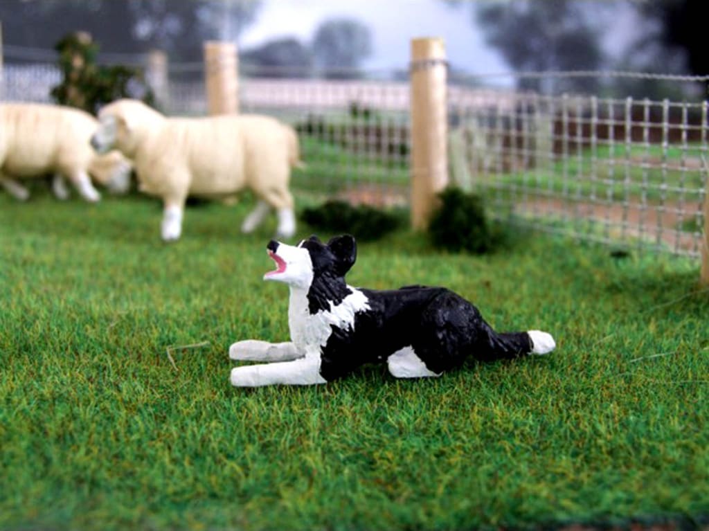 Schleich border collie on sale
