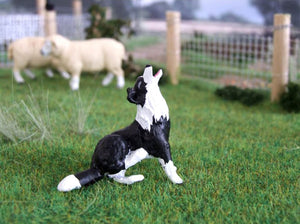 HLT-WMA13 HLT Farm Border Collie Badger